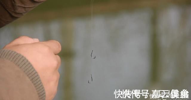 钓友|子线长度有多讲究?相差10厘米钓获可能少一半,看老钓手的分享