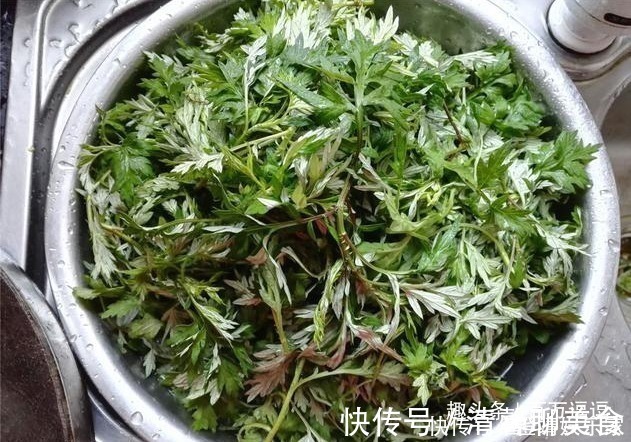 郎中|家有三年艾,郎中不必来!艾叶的效果多神奇用过的人都说好