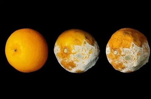 浸润癌|同为癌，原位癌、微浸润癌、浸润癌有何区别？