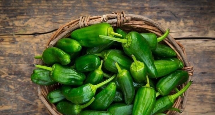 人到中年|人到中年血液粘稠,不要慌!秋后多吃此物,血管畅通了,皮肤细腻