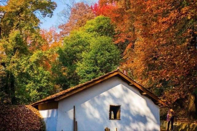 我国最尴尬的3个姓,第1个仅有17人,第3个起名字难叫出口