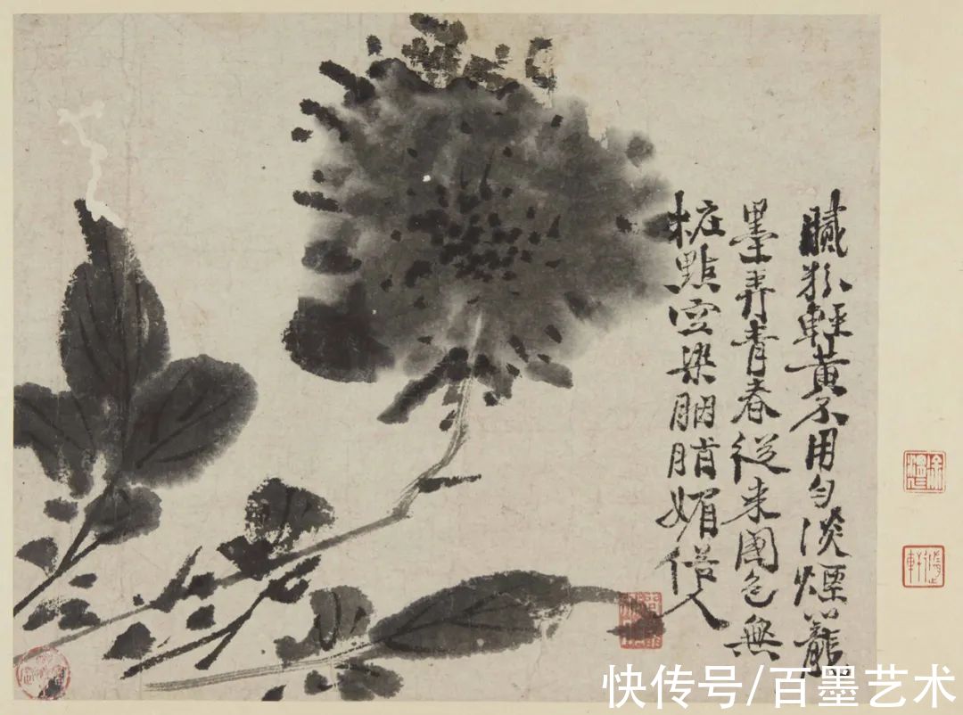 萱花#欣赏 | 草书入画，爽心悦目