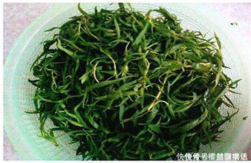 七月,這個野菜隨處可見,清熱去暑降血壓,不懂的人把它當草