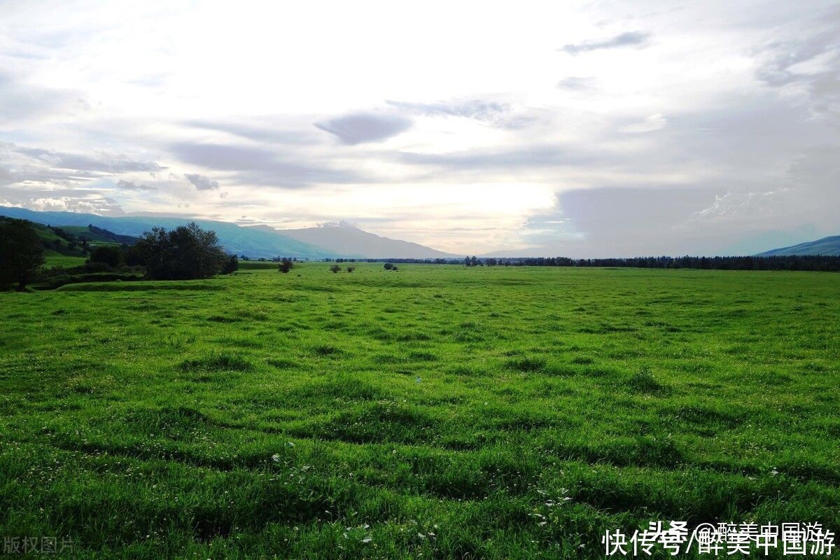 风光旖旎|每逢夏季，那拉提景区风光旖旎，峡谷幽深，绿草如茵，苍翠欲滴