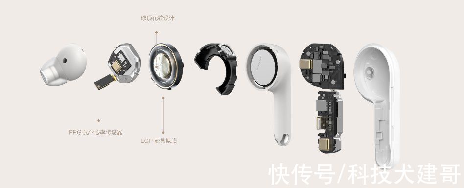 大熊猫|Amazfit跃我PowerBuds Pro发布；五个中国国家公园正式公布