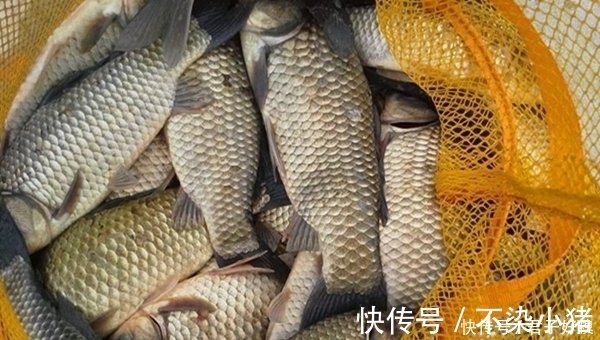 七星漂|离底钓鲫鱼的几种方法，冬季别只盯着钓底，改变下思路，上鱼更多