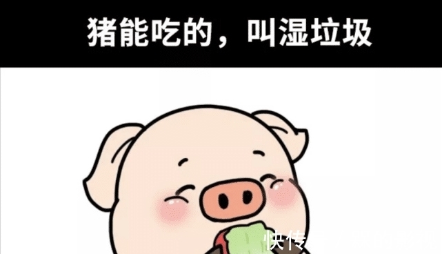 经理|盘点中国好声音2021第4期五大奇才(与音乐无关,较真者慎入)