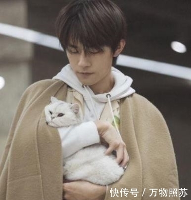  成绩|千玺新节目成绩亮眼,资源代言一骑绝尘,TFBOYS差距又拉开