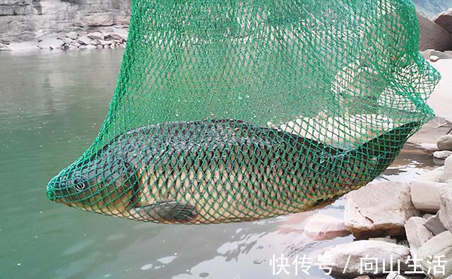 钓具越用越好,鱼却越钓越难,是钓友人傻钱多,还是鱼儿嘴刁?