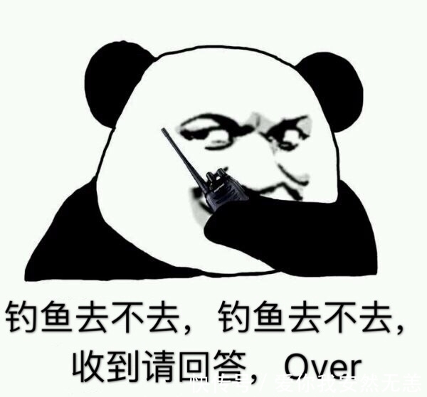 窝子|85%的钓鱼人都不知道的，垂钓冷知识，若读懂，鱼获倍增