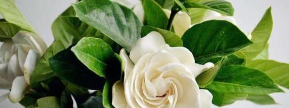 嘌呤|“嘌呤大王”被发现,是这2种调料,快点撤下桌,才能稳定尿酸