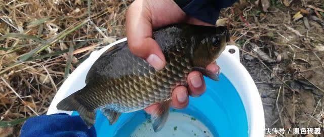 鲢鳙|为什么钓浮总没有收获？多半是你用错了地方，野钓要这样用才对