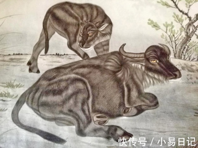 生肖|今年冬季身边好运不少的生肖,职位提升,财运看涨,幸福在眼前!