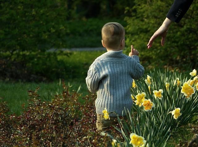 孩子|“31岁还是个孩子”:“巨婴式教育”能不能洗洗睡了