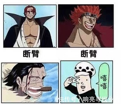 人面鸟|漫迷用同近义词和反义词理解《海贼王》,看完整个思路开阔了