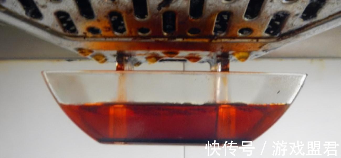 吸油烟机里的废油,发酵后用来养花,可以让花长得闪闪发亮