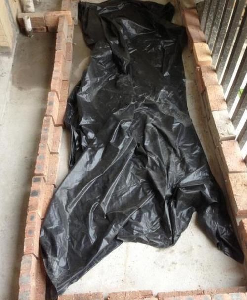 鱼池|在阳台上砌个鱼池,成本只花200元,亲戚朋友们都眼红了