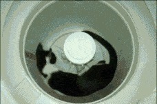 洗衣服直接倒洗衣液错，告诉你正确做法，洗完比新衣服还新