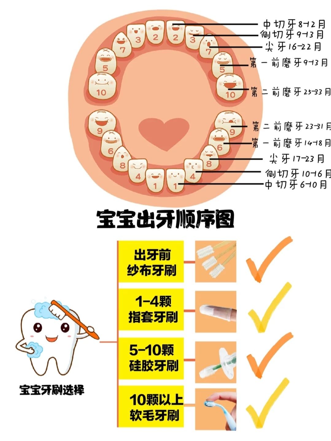 口腔|0-3岁宝宝口腔护理指南