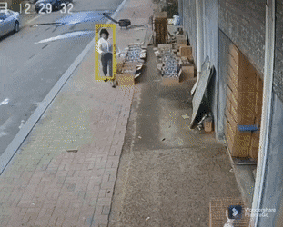 |搞笑GIF:这位女士因为拿了自家鹅的蛋,结果长期被鹅追杀