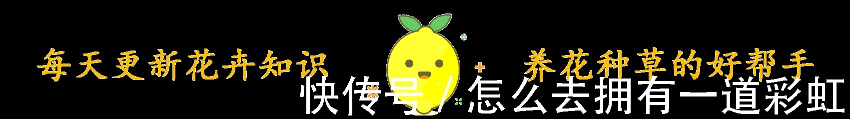 这2类花不能养，家里有尽快修剪或者搬走，对家人不好