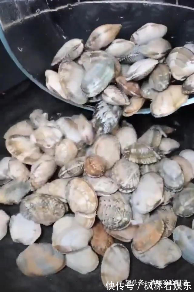 好吃|价廉物美,营养丰富,仅需拌一拌就非常好吃哦!捞汁花甲送给大家