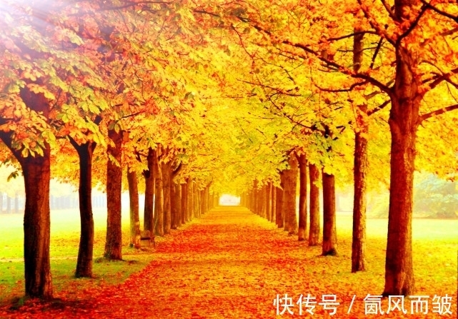 李昌符!古诗词常用典故:郗家庭树下 几度醉春风