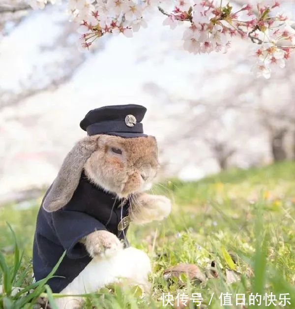 |幽默笑话:老熟人!