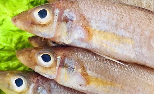 睫毛|女性怀孕以后,几种“零食”经常吃,宝宝出生后睫毛或又翘又长