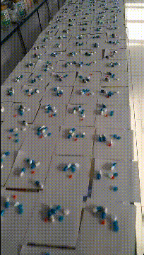 |搞笑GIF:我懒得看他们,我就想知道怎么说服后面那动物