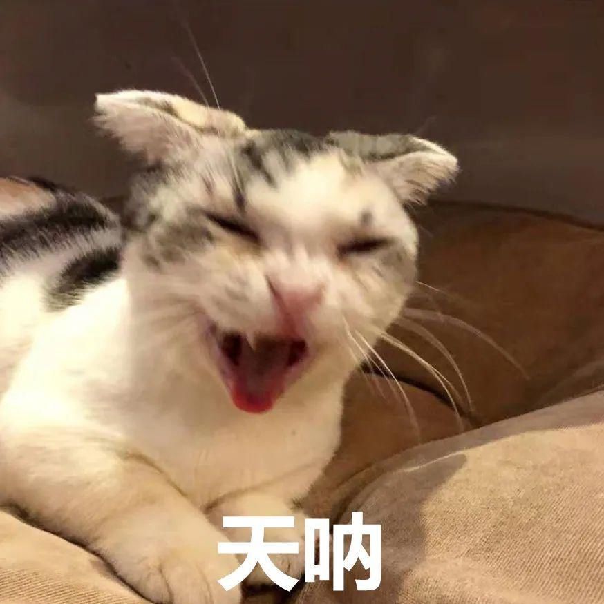 服用|厦门一男子“胃痛”吃了两个多月止痛药,一查竟是胰腺肿瘤!医生发出提醒……