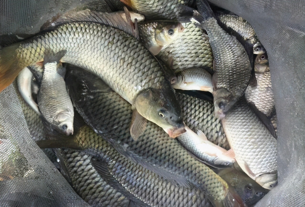 大鱼|钓鱼时的6大“黄金钓位”,图都给你画好了,遇到了别错过