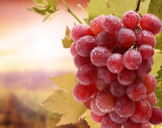 高血脂|甘油三酯的“天敌”,6种食物每天换着吃,血脂悄悄降下来!