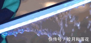火之神乐|鬼灭之刃,网友神还原日轮刀,日之呼吸绚烂,雷刃仿佛破次元