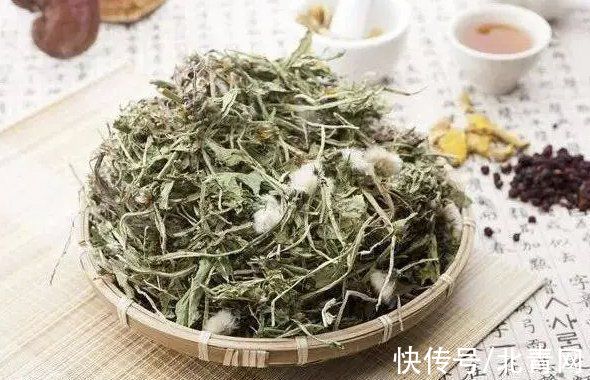 红肿|善治恶疮毒肿的蒲公英