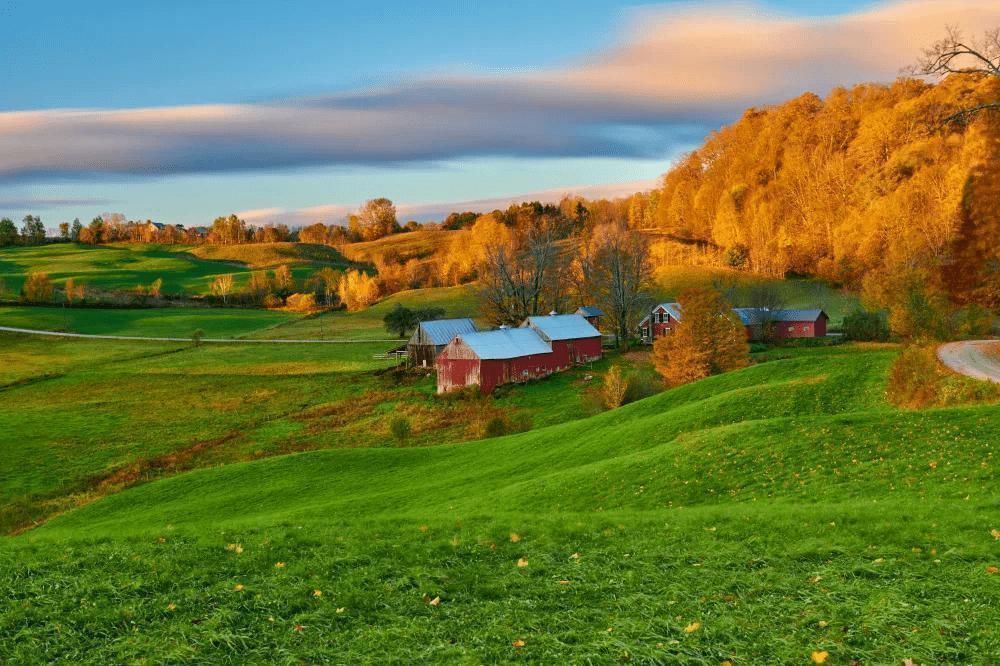 使用权|老祖宗留下的旧宅基地没有证件能补办手续吗解决办法来了