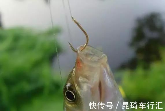 谁说钓鱼没有玄学，这几个邪门规律，只要是个钓鱼人，就都经历过