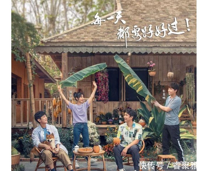 一季 太有梗,杨紫张艺兴贡献《向往》名场面,这一季的嘉宾真的找对了