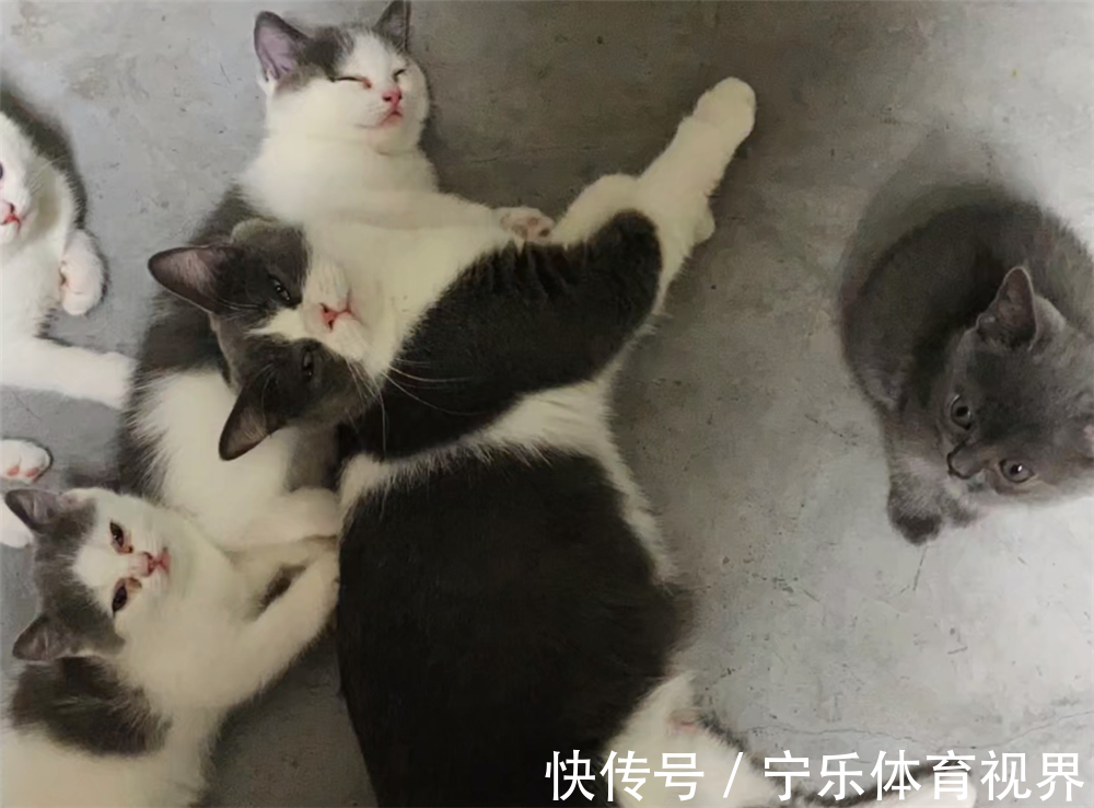 装修|东北小夫妻住了3年毛坯房，简不简陋不清楚，但是家居用品真全乎