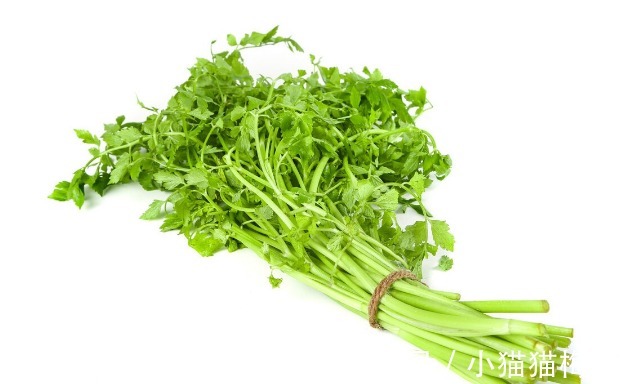 益母草|66种野菜大图片,带你见识不同的野菜和吃法,你想要的野菜这里有