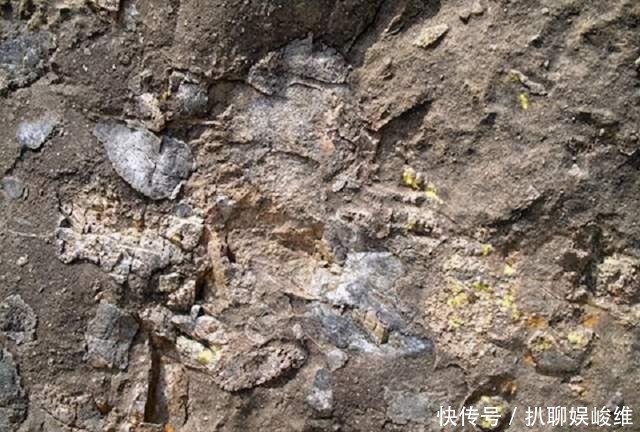 南非有一20亿年前的陨石坑，住了55万人，埋藏一千吨钻石黄金