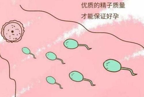 医生|结婚多年不孕,检查结果所有人看傻了眼,医生的话让两人红了脸