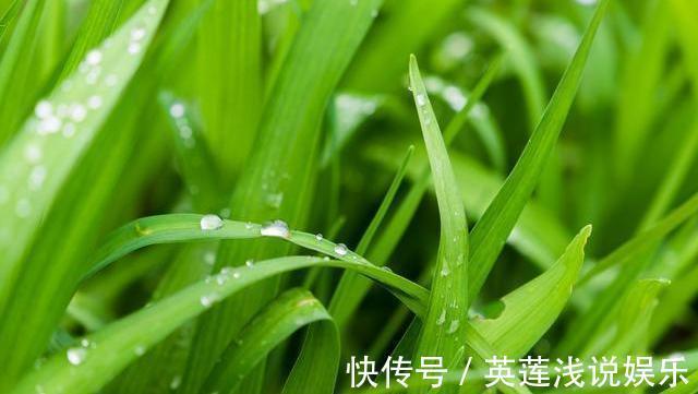 祛湿排毒|湿气最“怕”三种蔬菜，若经常端上饭桌，祛湿排毒，无湿一身轻