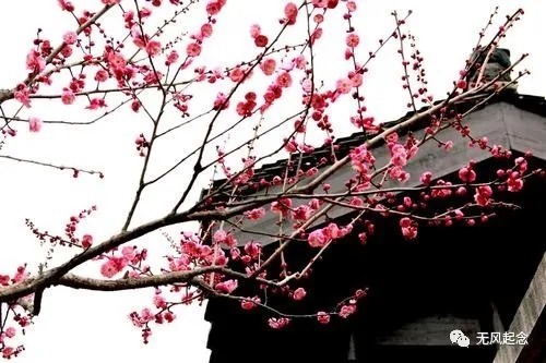 诗句#王安石最美的一首诗:看似平淡无奇,读起来却意味深长