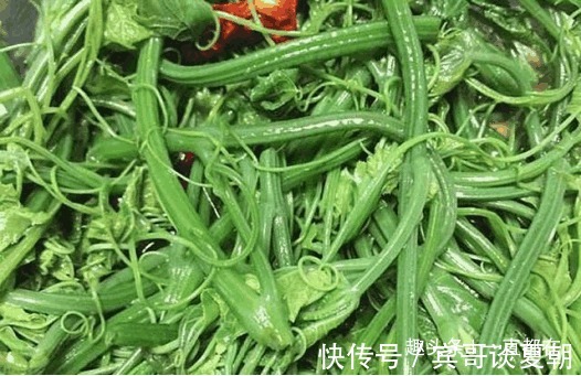 云龙菜|农村随处可见的野菜，具有防癌抗瘤、清洁肠道、美容养颜等功效