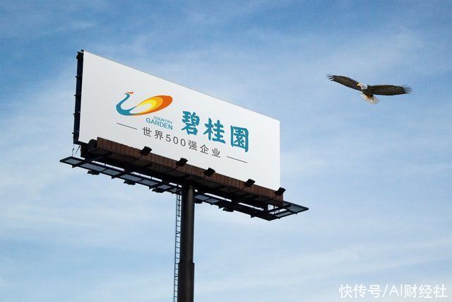 杨国强|碧桂园的高质量发展怎么样了?