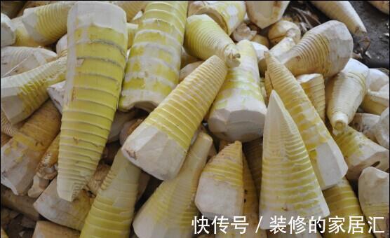 焯水|保存竹笋,有人煮熟急冻,有人直接急冻,都不对,教你正确做法