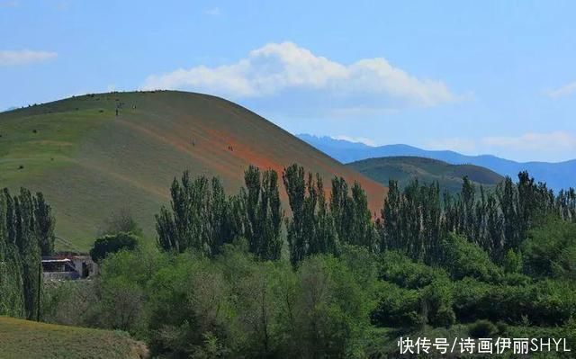 艳压群芳|美丽新疆:天山红花红似火