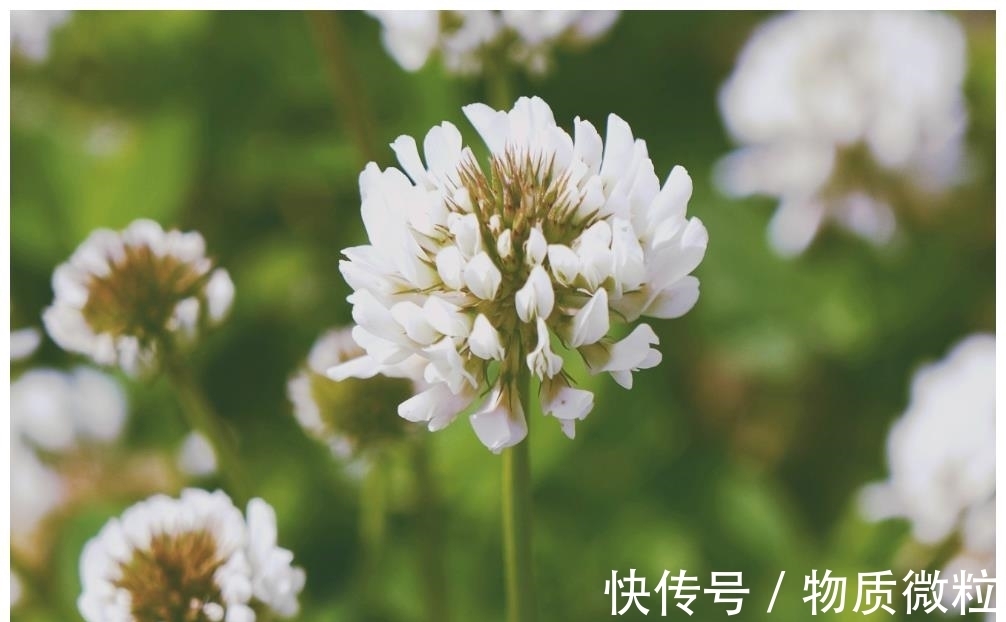 生肖鼠|7月下旬，3生肖心软了，感动了，重拾旧情人，珍惜情缘，续写旧