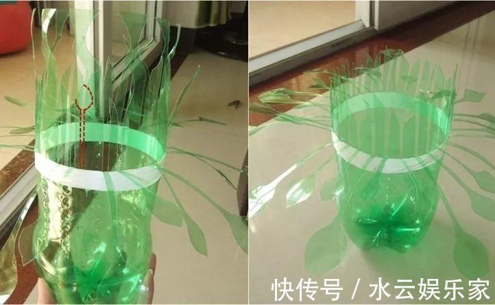 雪碧瓶别丢了,剪个口子拿来养花,一点不比买得花盆差!